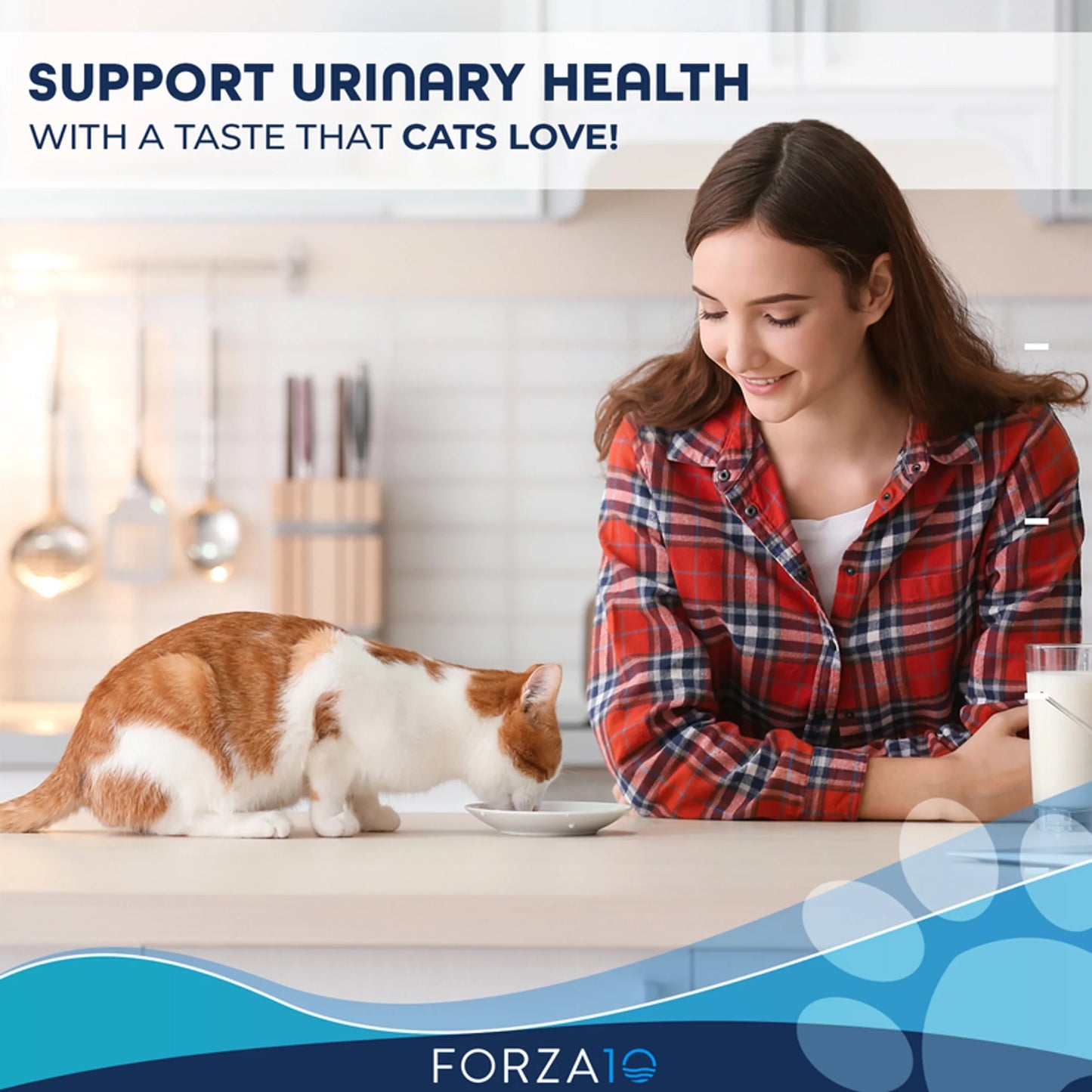 TD Forza10 Active Dry Cat Food for Active Urinary Cats