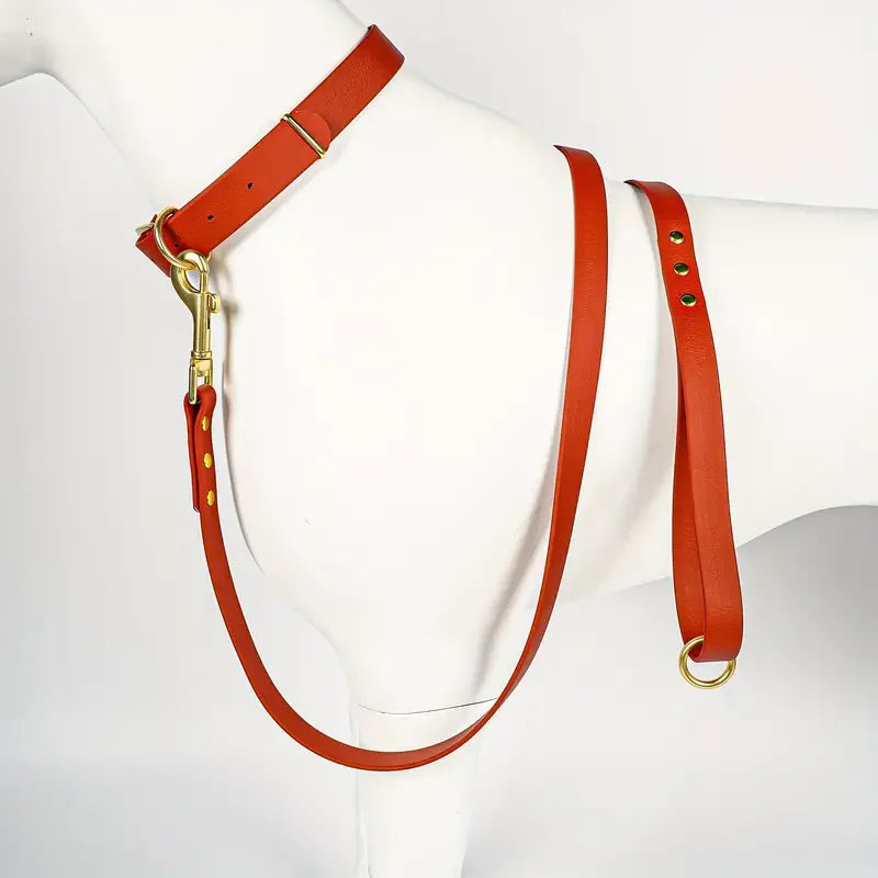 Dog Leash for Small Medium Large Dogs Walking,Easy to Use, Lightweight & Durable,Training Leash for Control Safety Training