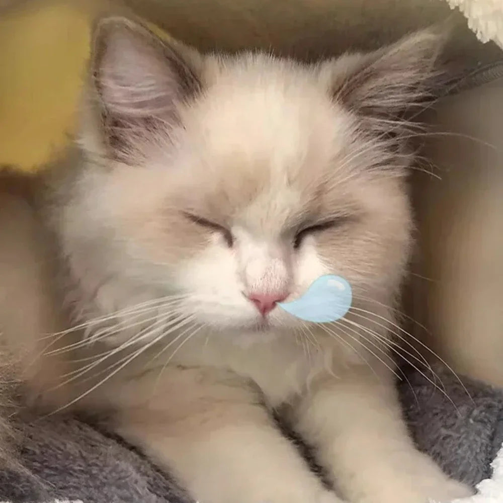 Simple Dog House Soft Pet Bed Keep Warm Bed with Removable Four Season Universal Cushion Wear Resistant and Durable Dog House