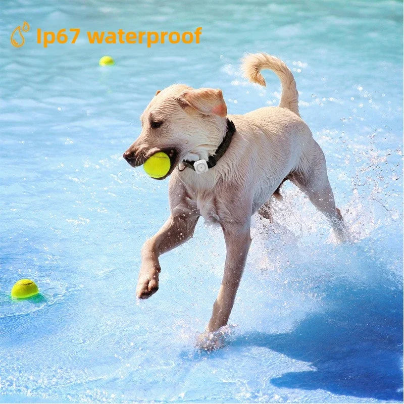 Pet GPS Trackers Historical Track Motion Data Dog Cat Anti-loss Tracking Health Monitoring GPS Tracker Waterproof Pet Products